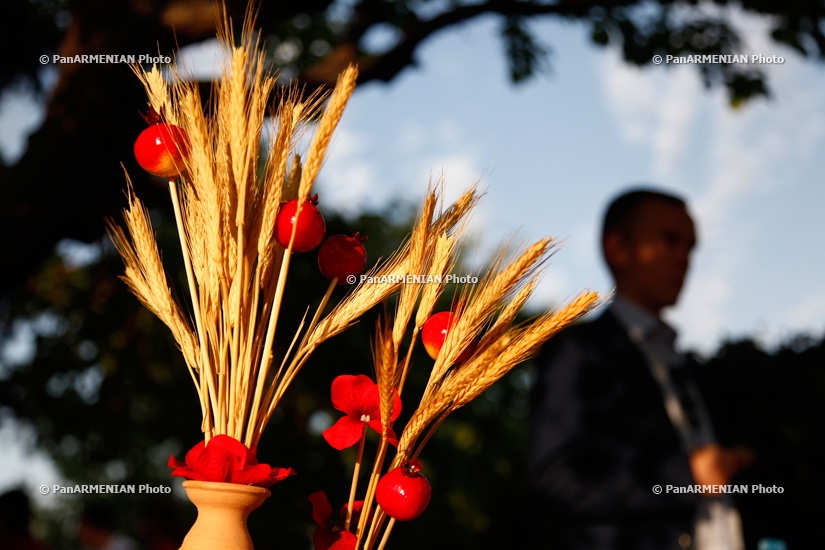 «Золотой абрикос»: Фестиваль толмы в Сардарапате