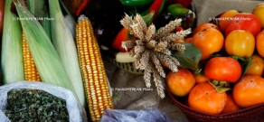 Премия конкурса «Женщины-героини в сфере производства сельхозпродукции 2013» 