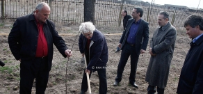 Armenian Diaspora Minister Hranush Hakobyan and Iran's Ambassador to Armenia Mohammad Reisi plant trees in Zvartnots