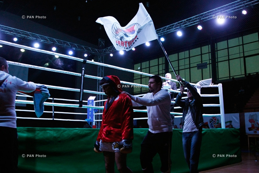 Профессиональный бой Армения-Иран: Бокс