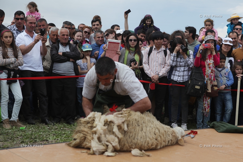 Фестиваль стрижки овец в Татеве