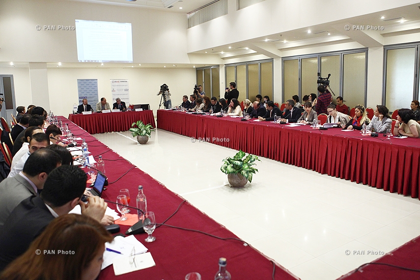 Public consultations on preliminary draft of the Concept on Constitutional Reforms 