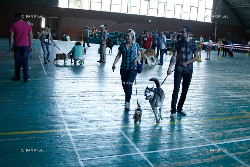 Yerevan hosts International Dog Show 2014