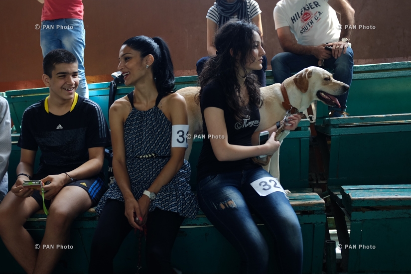 Yerevan hosts International Dog Show 2014