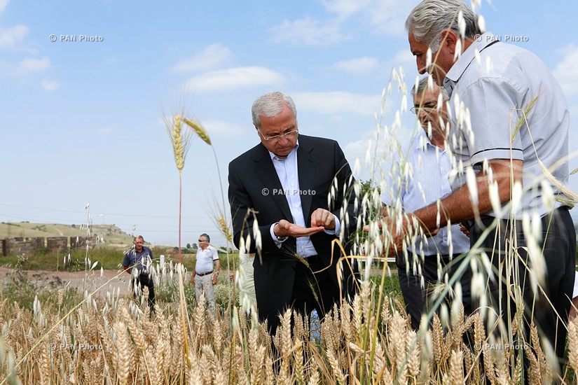 Министр сельского хозяйства Серго Карапетян посетил Тавушскую область