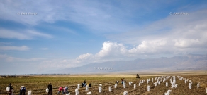 Harvesting potatoes in Shatvan village, Gegharkunik province