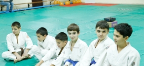 Оpening of the center of East martial arts in Yerevan