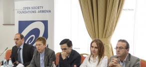  2013 Annual Report of the group of public monitors