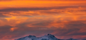 PAN Photo: Nature