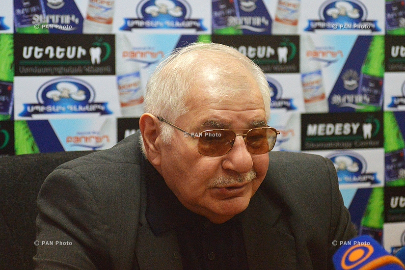Press conference of Noravank SEF director Gagik Harutyunyan