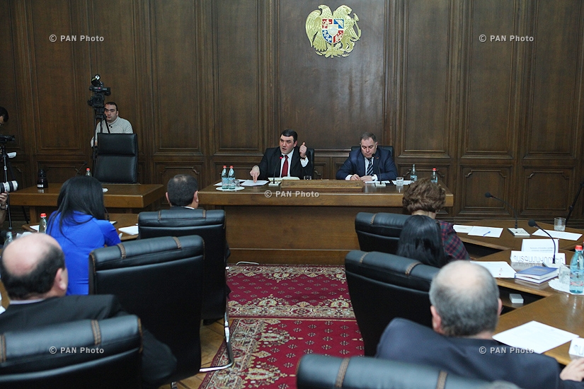 Парламентские слушания на тему «О правовых процессах в связи с трагическими событиями в Гюмри 12 января 2015 года»