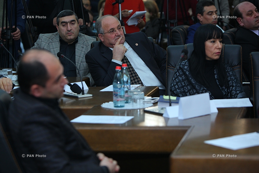 Parliamentary hearings on “Legal Processes Related to the Tragic Incidents Occurred in Gyumri on January 12, 2015” 