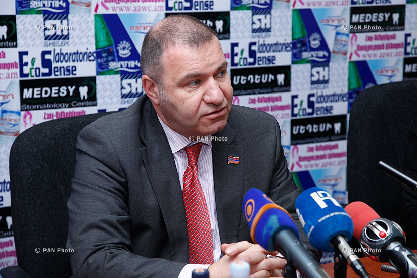 Press conference of MP from Prosperous Armenia Party  Mikael Melkumyan