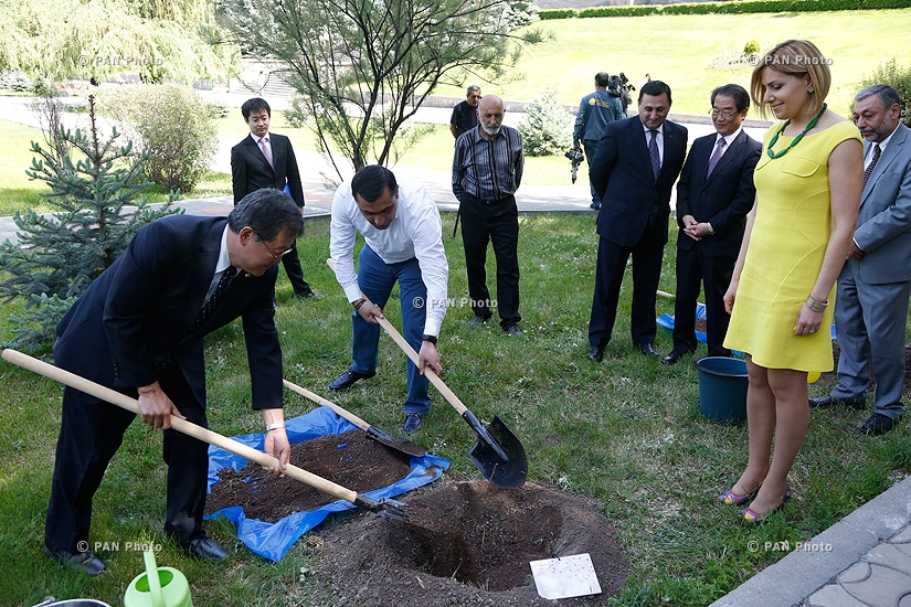 Церемония посадки сакуры в саду Национального Собрания Армении в качестве символа армяно-японской дружбы