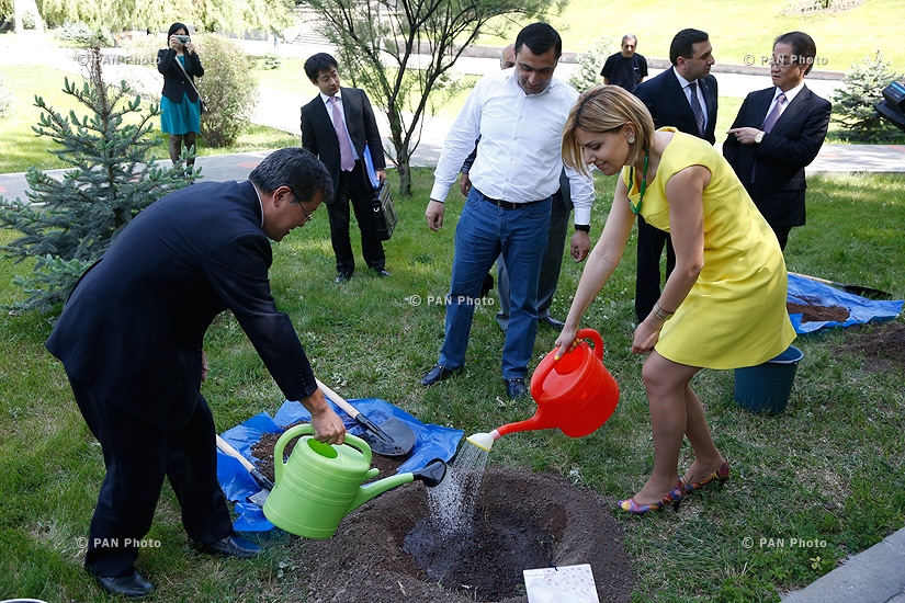 Cherry blossoms (Sakura trees) are planted in the park of National Assembly to symbolize Armenian-Japanese friendship