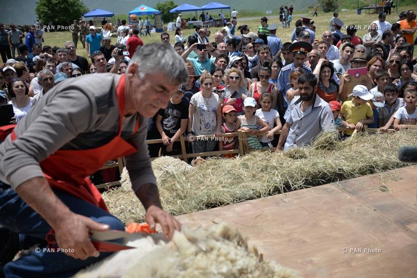 Фестиваль стрижки овец в Татеве  