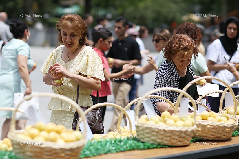 Церемония освящения абрикосов во время открытия 12-го фестиваля «Золотой абрикос»