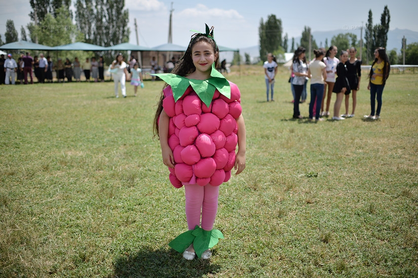 В селе Арагац прошел «Фестиваль горной малины»
