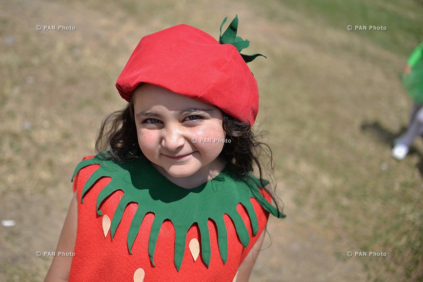 Mountainous raspberry festival in the Aragats community 