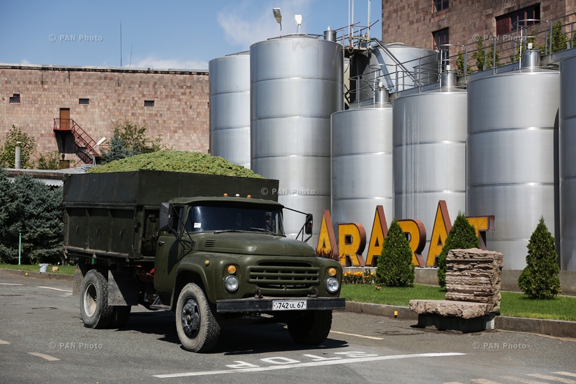 Yerevan Brandy Company launches grape purchase in Armavir branch