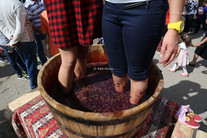 Areni Wine Festival 2015