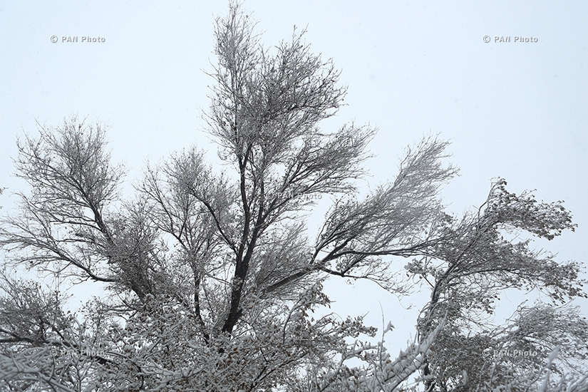 First snow in Yerevan