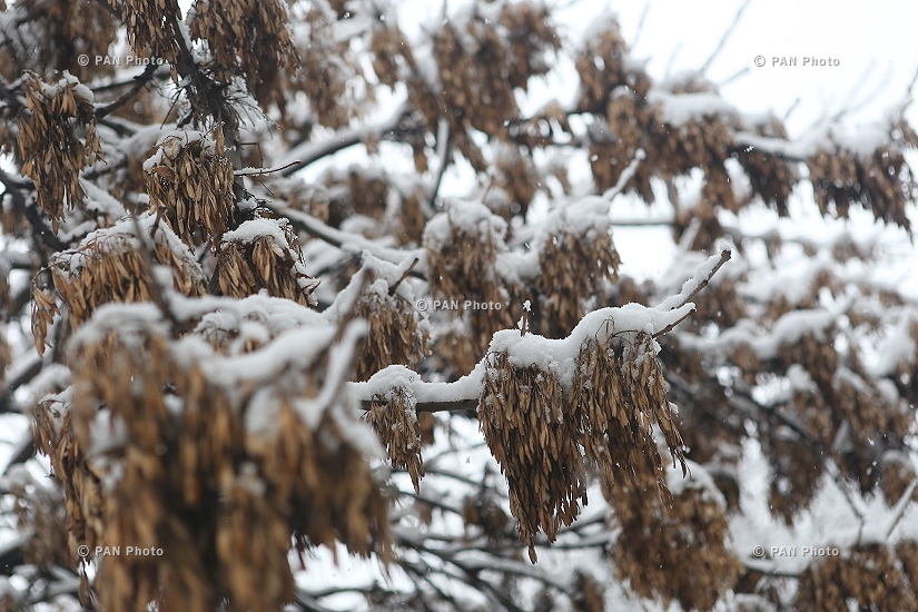 First snow in Yerevan