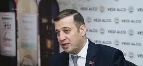 Пресс-конференция члена армянской делегации в ПАСЕ Ваана Бабаяна 