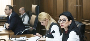 Parliamentary hearings on Armenia's draft law on NGOs and the package attached to legislative amendments