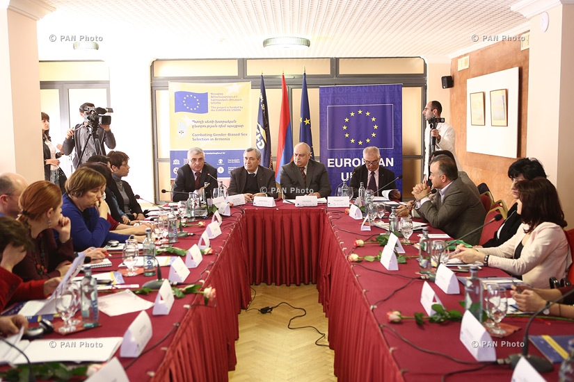 «Պտղի սեռի խտրական ընտրության դեմ պայքար» ծրագրի խորհրդատվական հանձնաժողովի նիստը