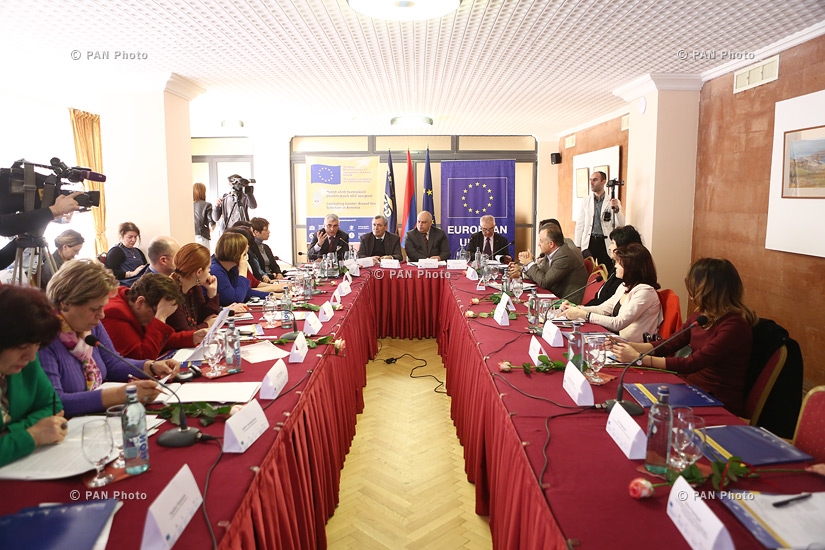 «Պտղի սեռի խտրական ընտրության դեմ պայքար» ծրագրի խորհրդատվական հանձնաժողովի նիստը