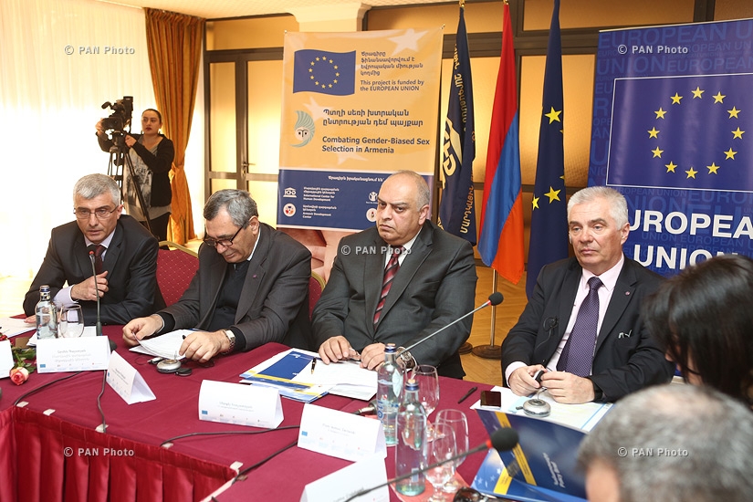 «Պտղի սեռի խտրական ընտրության դեմ պայքար» ծրագրի խորհրդատվական հանձնաժողովի նիստը